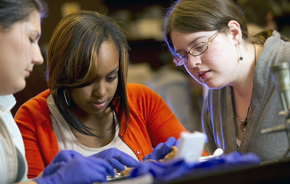 Pictured are students working together in a lab. File photo.