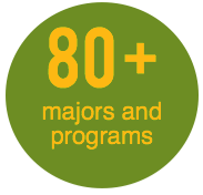 An infographic displaying Point Park University offers more than 80 undergraduate majors and programs.