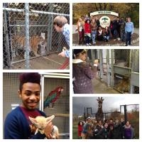 pic stitch of zoo trip