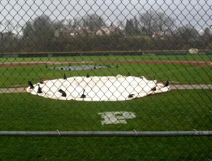 PPU Field 1 fh