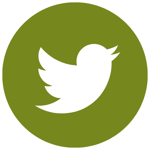 Twitter-icon