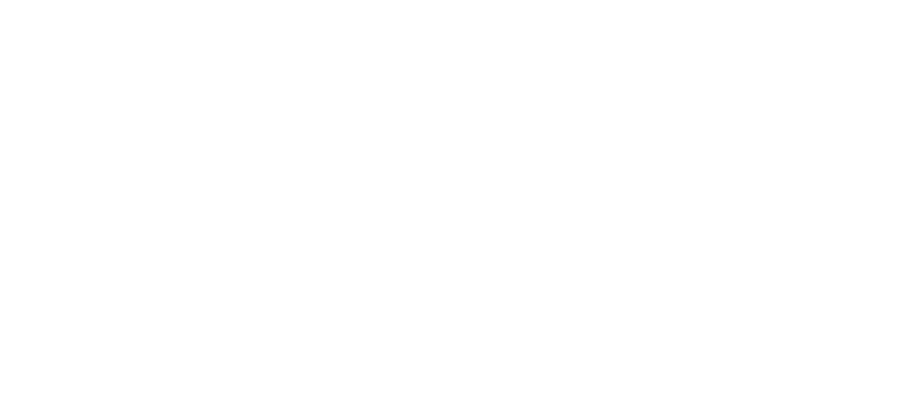That's The POInt Wordmark in white