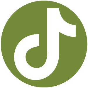 TikTok Logo