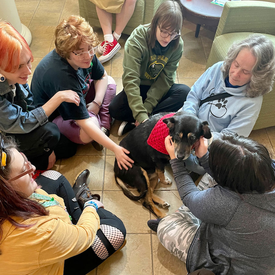 A group of students sit in a circle on the floor around a dog.