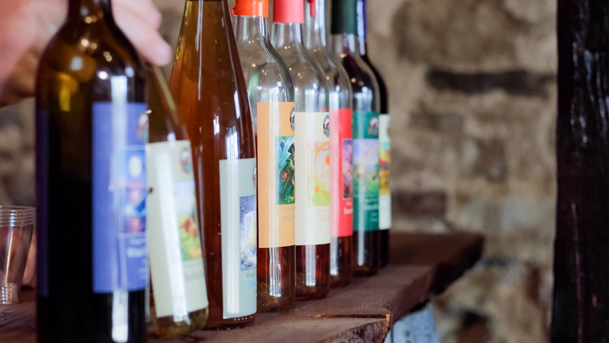 A line of wine bottles.
