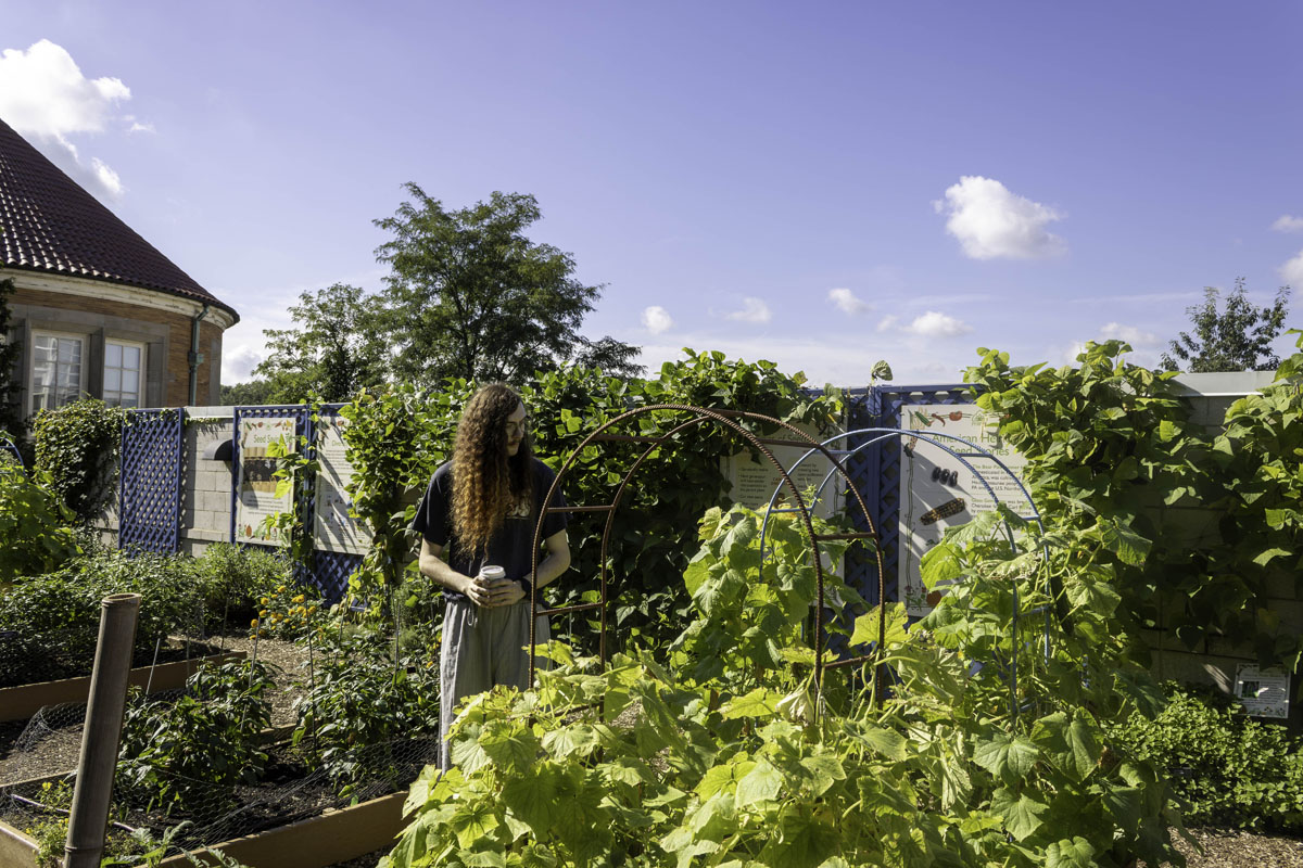 Students at Phipps.