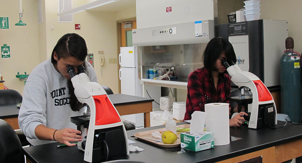 Pictured are biology students conducting lab work at Point Park.