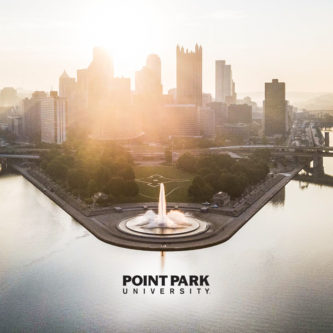 An image from Point State Park from above