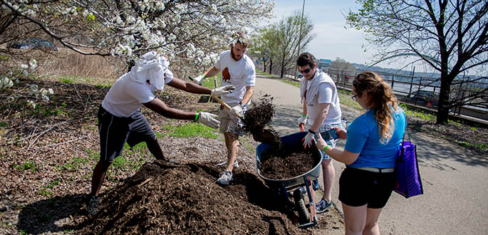 Four male Point Park students shovel mulch into a wheelbarrow as a female student takes photos during landscaping volunteer work on the Eliza Furnace Trail as part of Pioneer Community Day 2015.