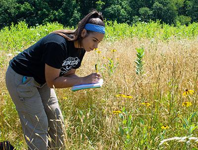 Pictured is biological sciences major Paula Ambrose in a sunflower field at her internship with Allegheny Land Trust. Photo by Brandy Richey.
