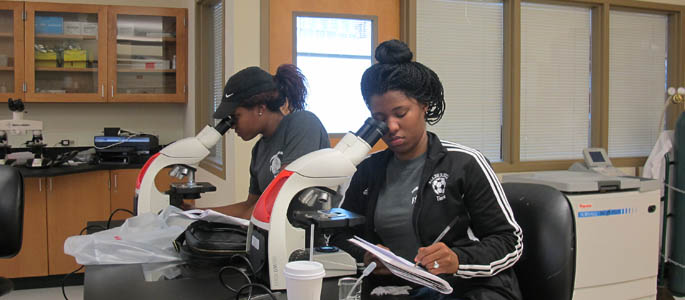 Pictured are high school students in the lab at Point Park's CSI camp. | Photo by Amanda Dabbs