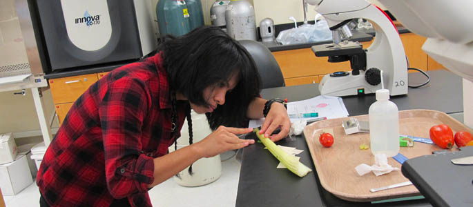 Pictured is a Point Park natural sciences student doing botany lab work. | Photo by Amanda Dabbs