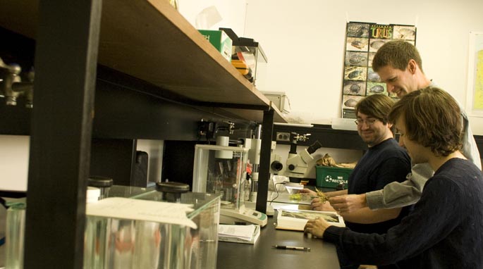 Prof. Matthew Opdyke with students working on the lichen research project. | Photo by Bethany Foltz