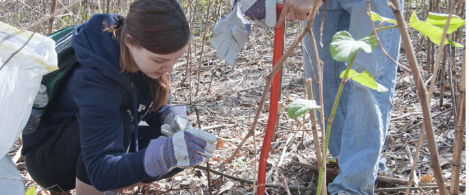Pictured is a Point Park student planting a tree on Sycamore Island. | Photo by Kelly Cline