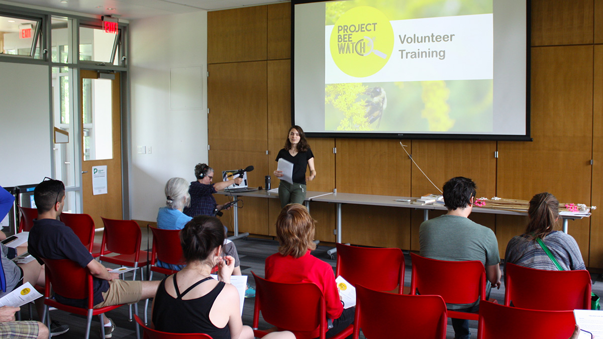 Pictured is Point Park alumna Keri Rouse '14, '19, giving a presentation about Project Bee Watch.