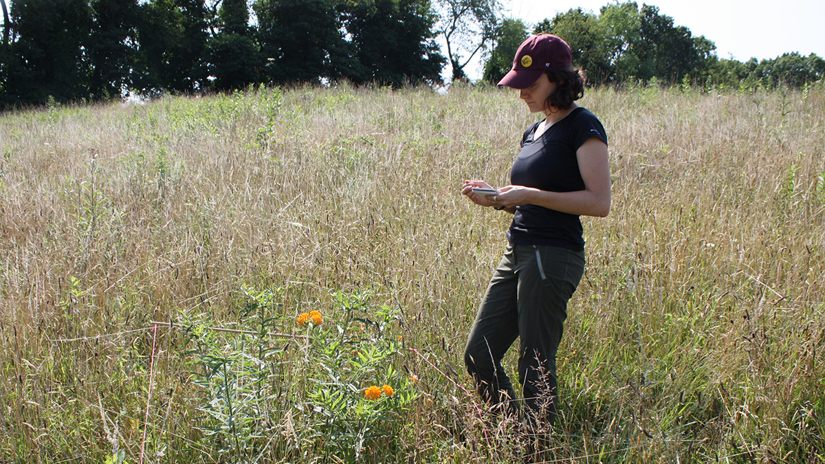 Pictured is Rouse doing survey work at the Audoubon Greenway Conservation Area in Sewickley, Pa.