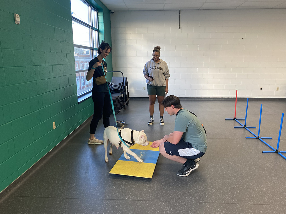 Pictured are students working with a dog at the North Side Humane Animal Rescue. Photo by Nicole Chynoweth.