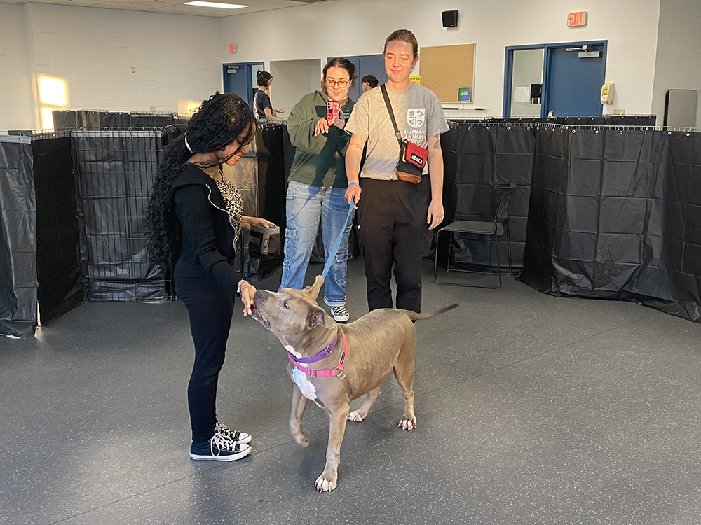 Pictured are students working with a dog at the North Side Humane Animal Rescue. Photo by Nicole Chynoweth.