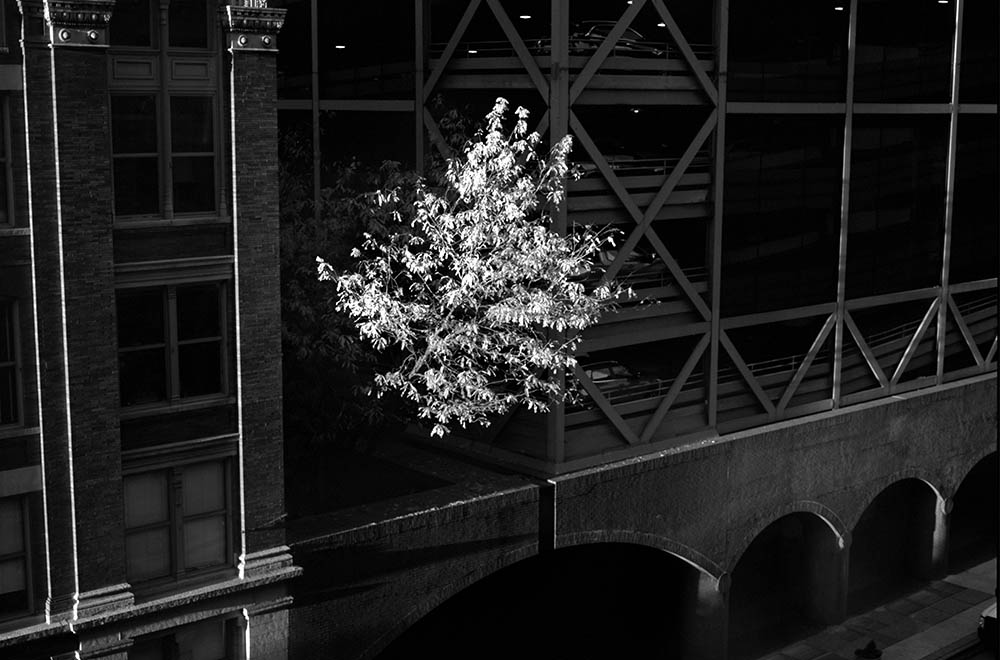 Photo by Lindsey Palmer.