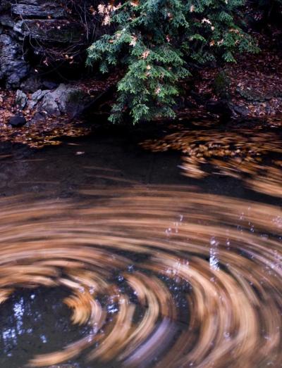 McConnells Mills State Park | Photo by Christopher Rolinson