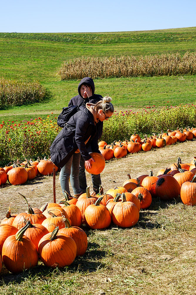 Pictured are two students on a pumpkin patch at Simmons Farm. Photo courtesy of the Allegheny Intermediate Unit's Special Education and Pupil Services Division.