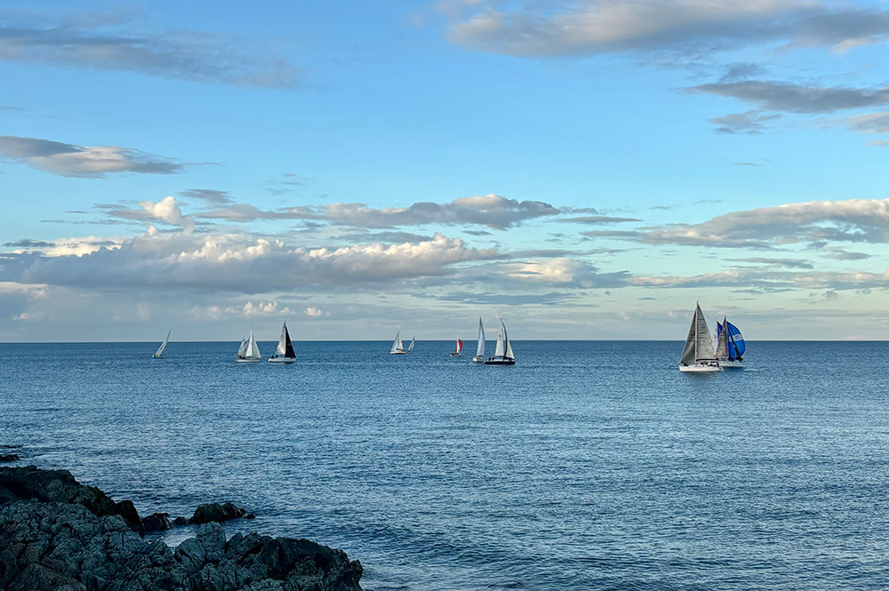 Sailboats on water.