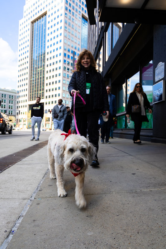 A woman walks with a therapy dog.