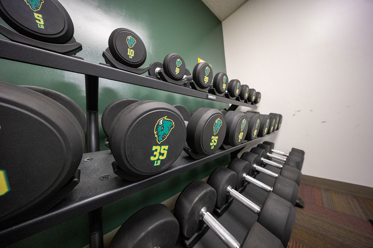 A set of dumbells.